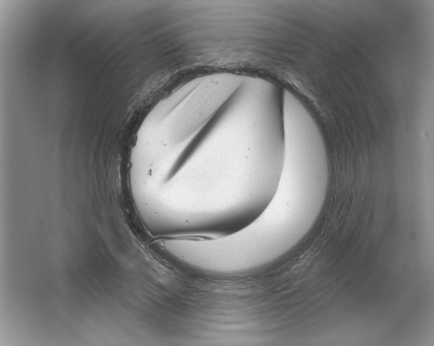 X0000064740685200603031708