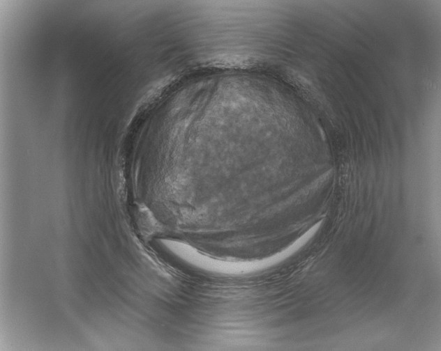 X0000064740688200603031708