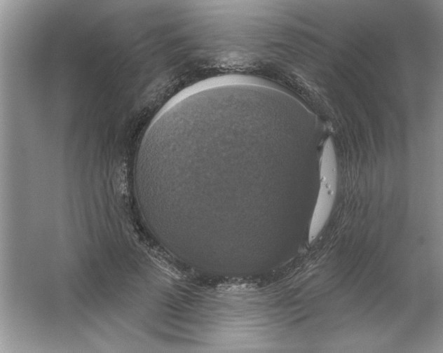 X0000064740689200603031708