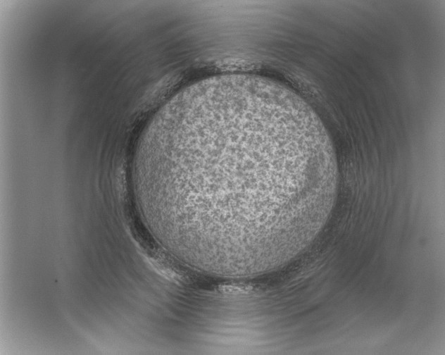 X0000064740690200603031708