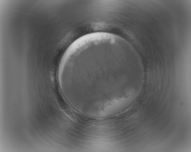 X0000064740691200603031708