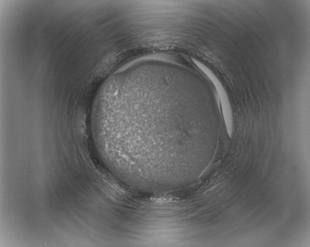 X0000064740693200603031708