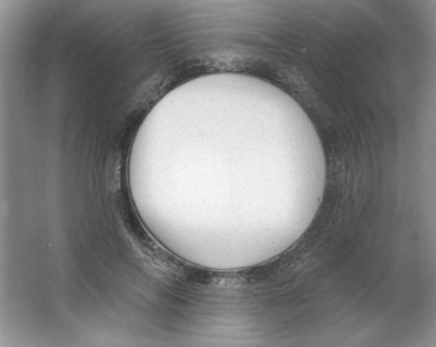 X0000064740694200603031708