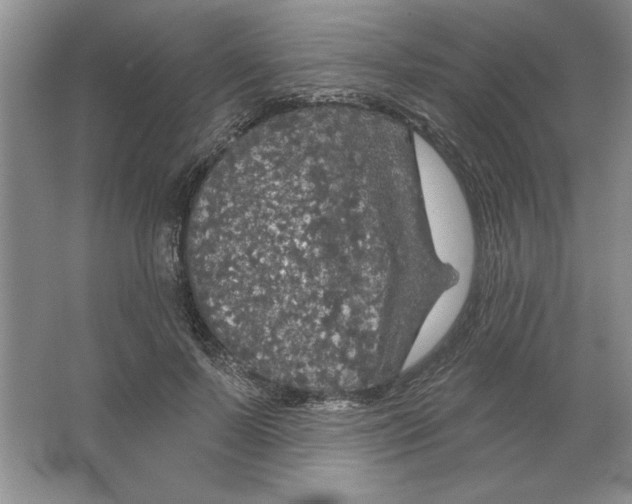 X0000064740695200603031708