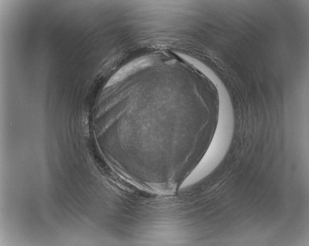 X0000064740696200603031708