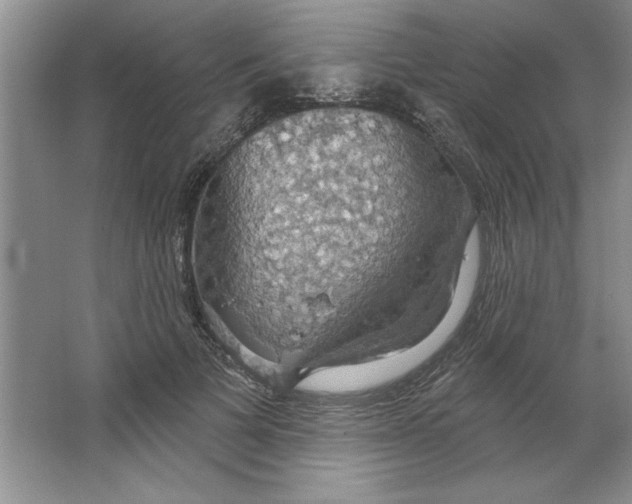 X0000064740697200603031708