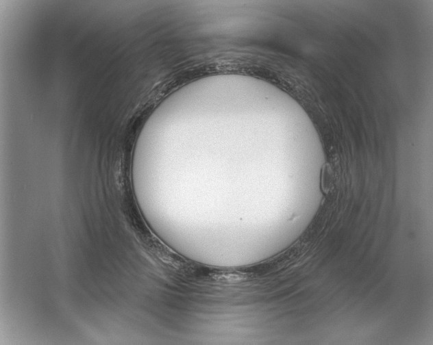 X0000064740698200603031708