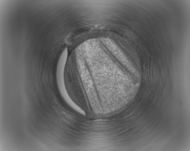 X0000064740700200603031708