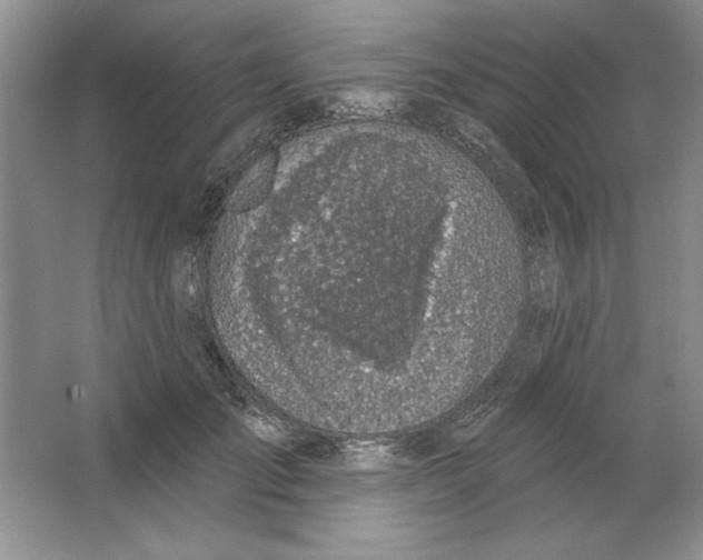 X0000064740701200603031708