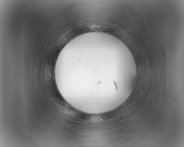 X0000064740702200603031708