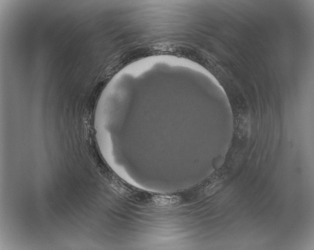 X0000064740707200603031707