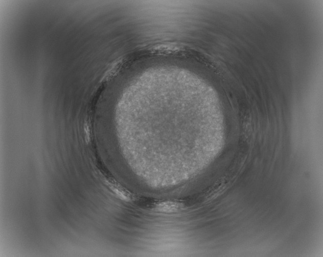 X0000064740708200603031707