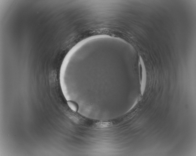 X0000064740711200603031707