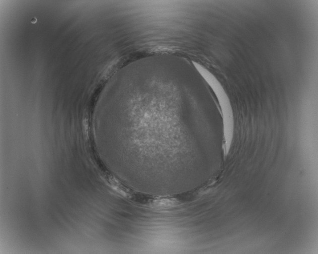 X0000064740716200603031707