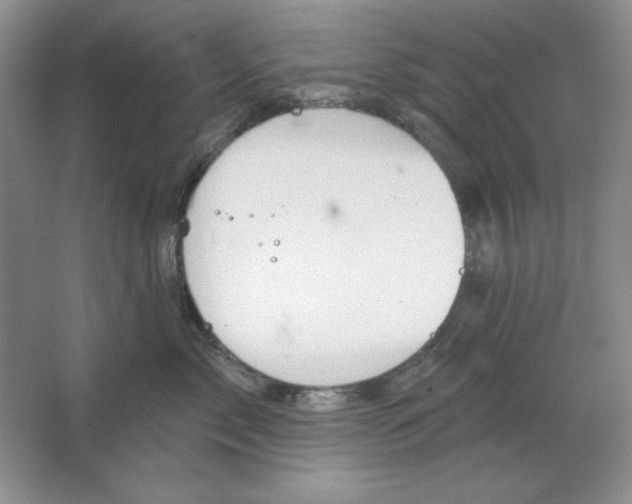 X0000064740717200603031707