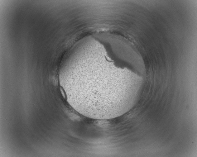 X0000064740719200603031707