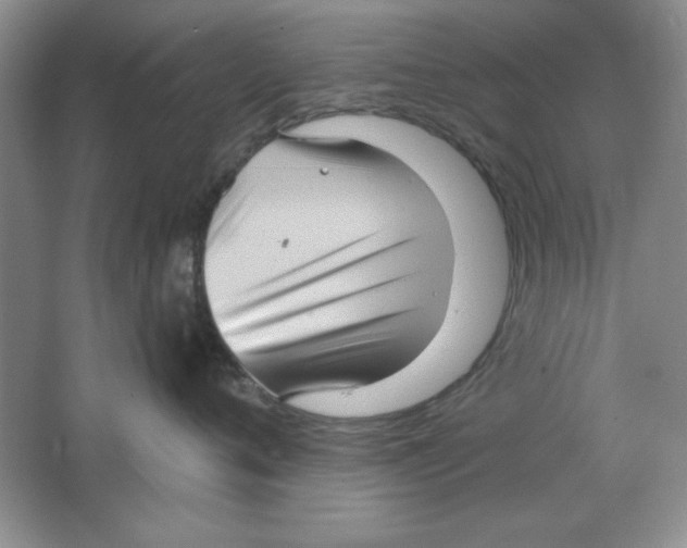 X0000064740720200603031707