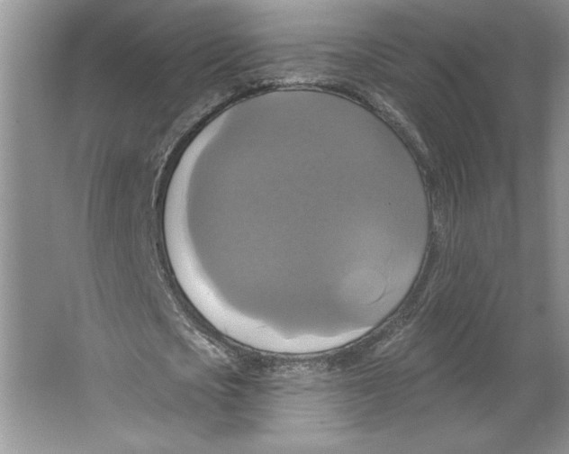 X0000064740721200603031706