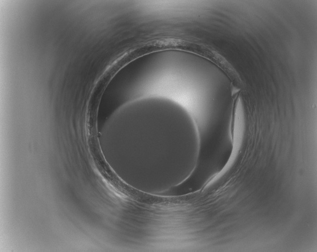 X0000064740722200603031706