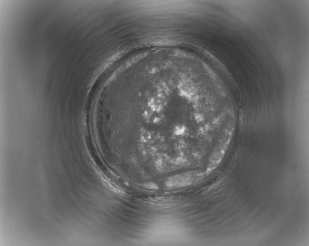 X0000064740725200603031707