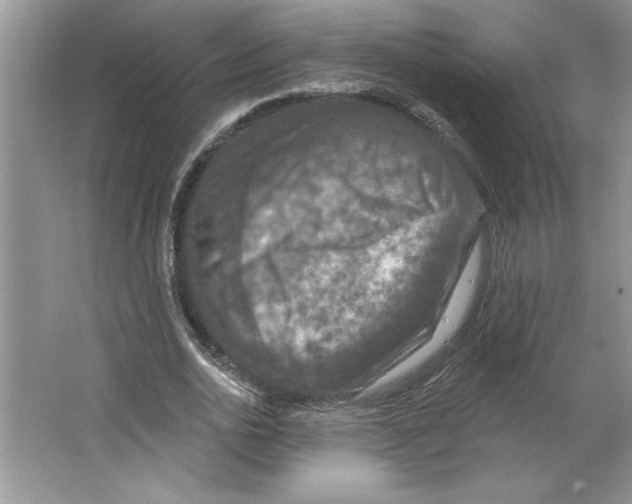 X0000064740726200603031707