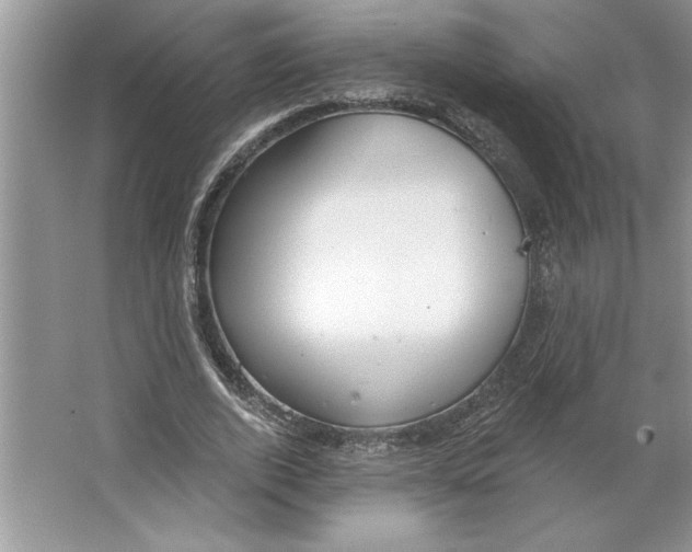 X0000064740728200603031707