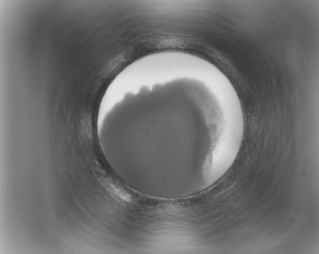 X0000064740729200603031707