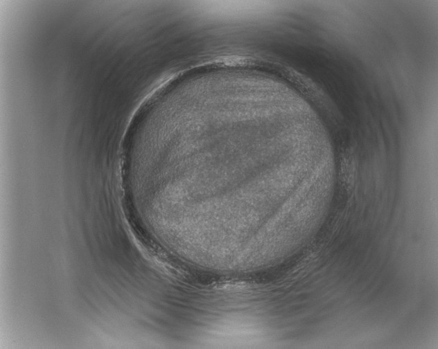 X0000064740730200603031707