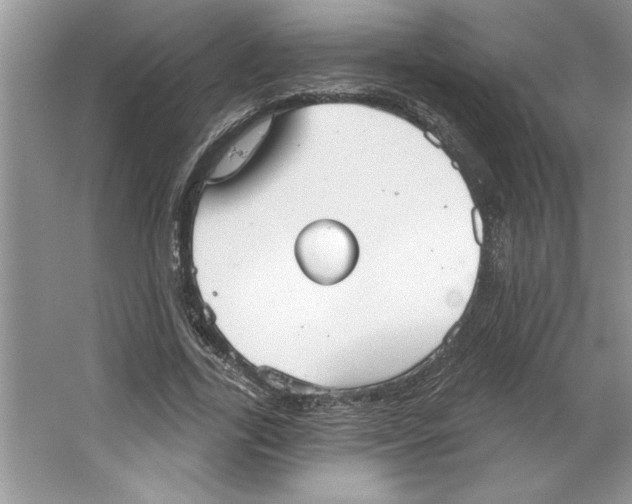 X0000064740731200603031707