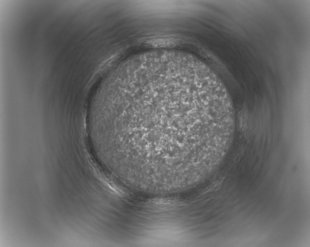 X0000064740733200603031707