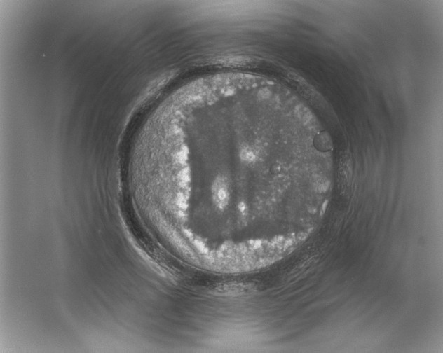 X0000064740734200603031707