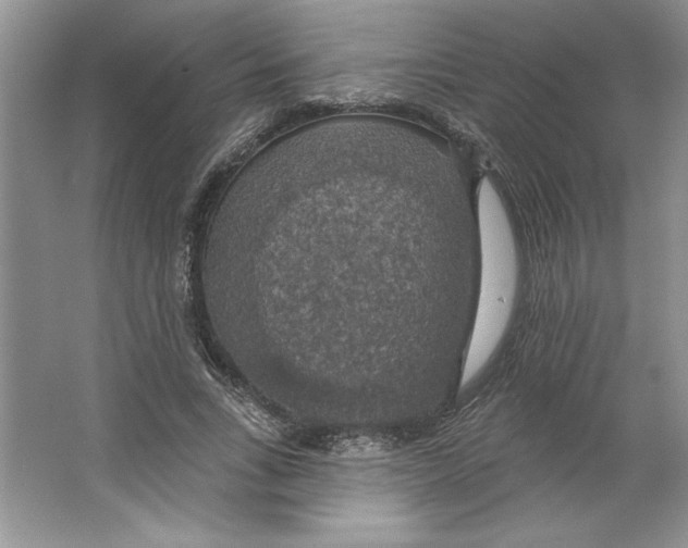 X0000064740735200603031707