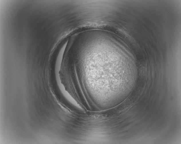 X0000064740736200603031707