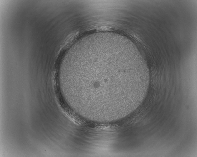 X0000064740738200603031707