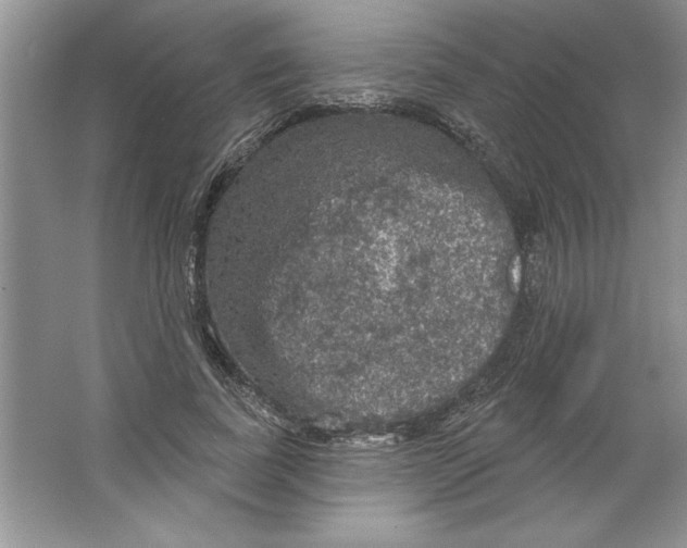 X0000064740739200603031707