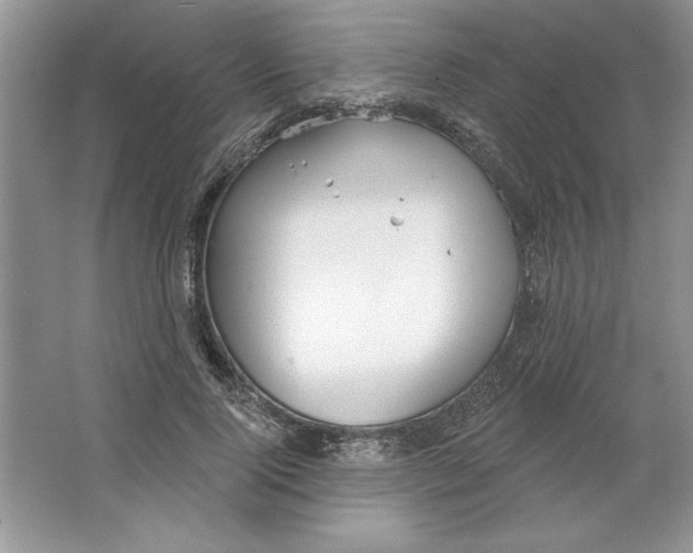 X0000064740740200603031707