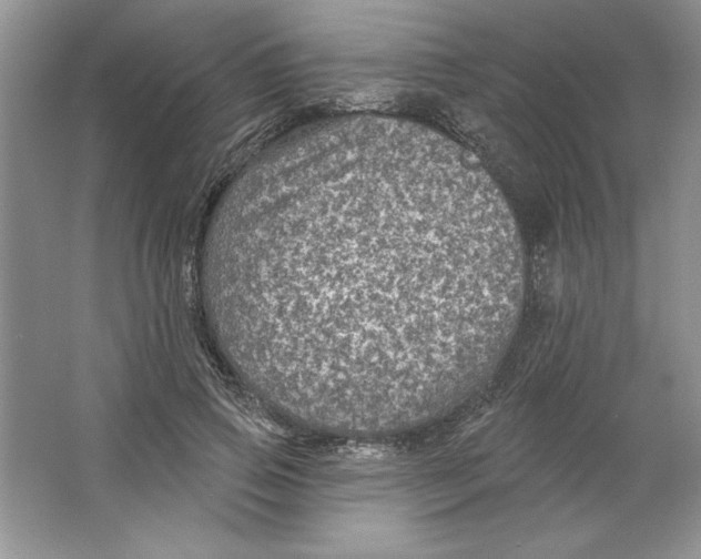 X0000064740741200603031707