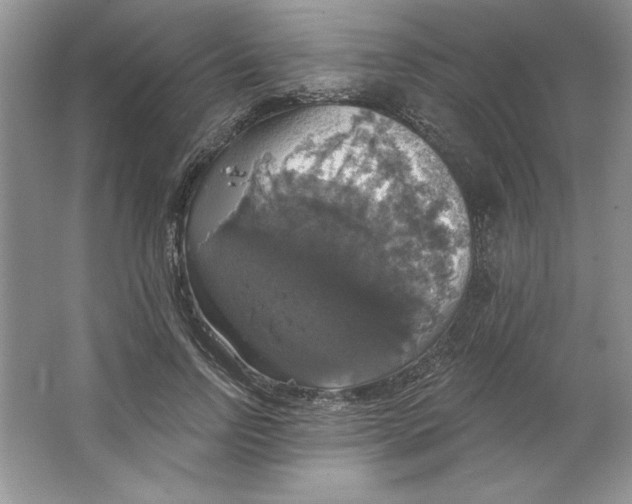 X0000064740742200603031707