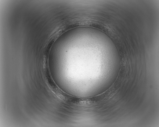 X0000064740744200603031707