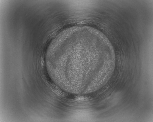 X0000064740746200603031707