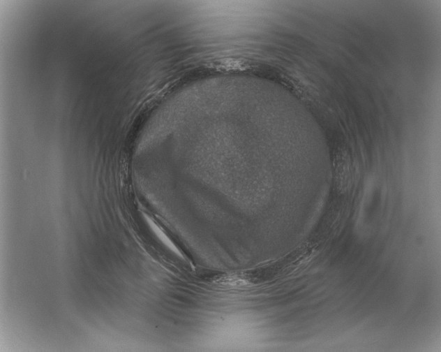 X0000064740747200603031707