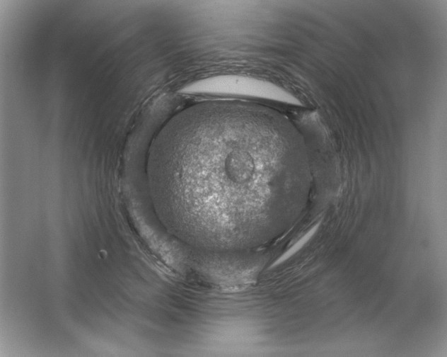 X0000064740750200603031707