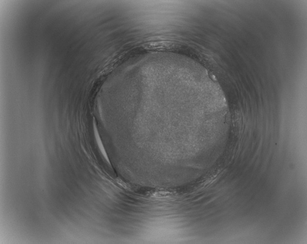 X0000064740751200603031707