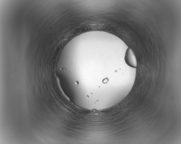 X0000064740752200603031707