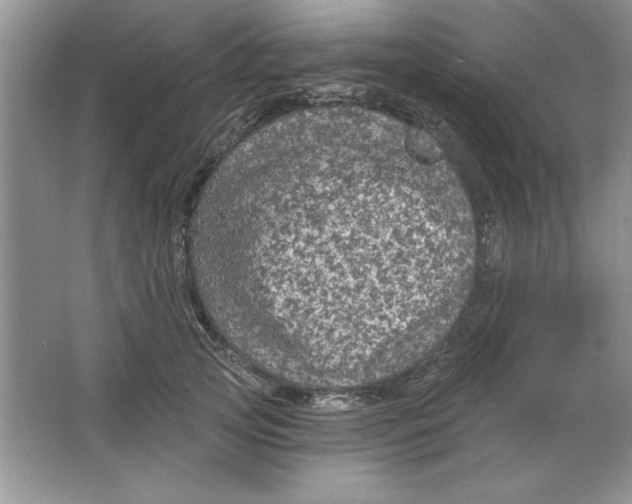 X0000064740753200603031707