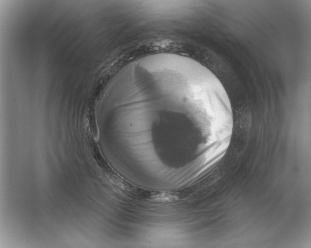 X0000064740754200603031707