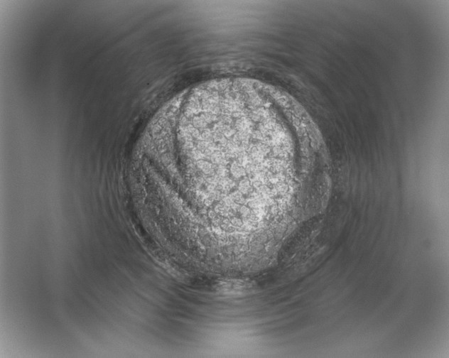 X0000064740757200603031707