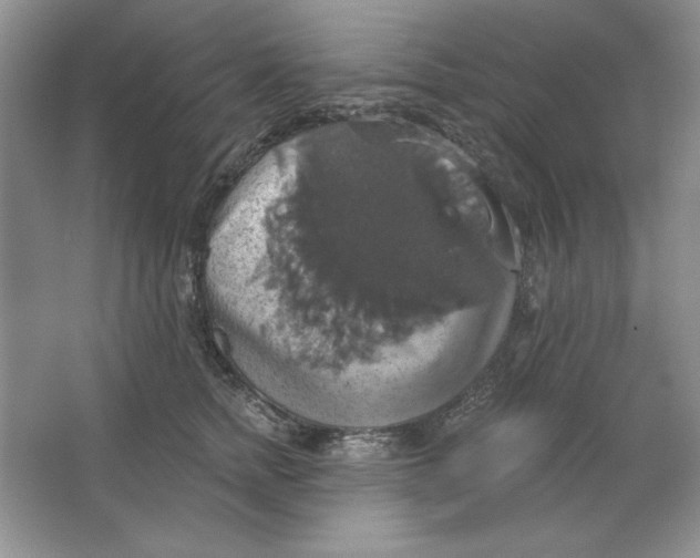 X0000064740758200603031707