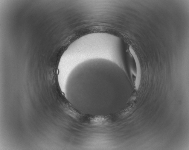 X0000064740759200603031707