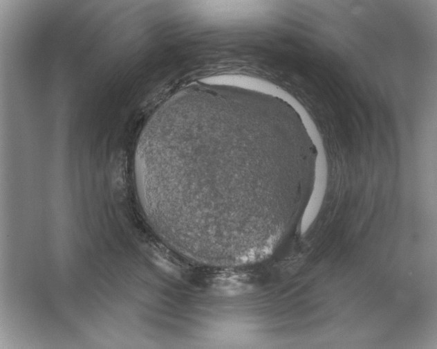 X0000064740760200603031707